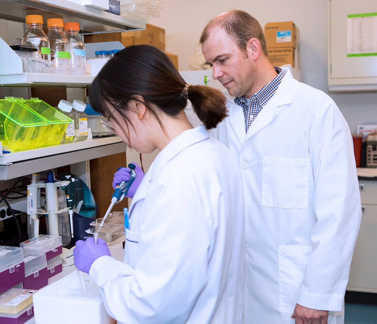 Dr. Main oversees the work being conducted by a graduate student in his lab