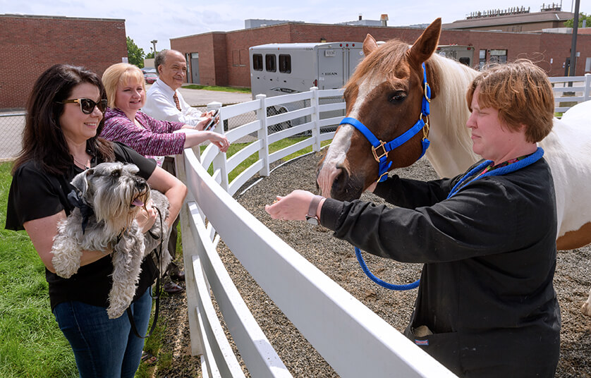 Dean Reed and Lee Ann Happ lean against the corral as Janet holds Henry up to greet a horse led by a technician