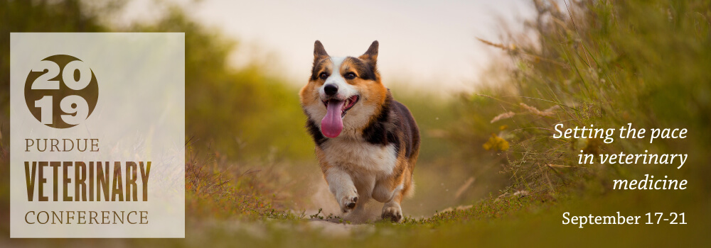 Register for the 2019 Purdue Veterinary Conference