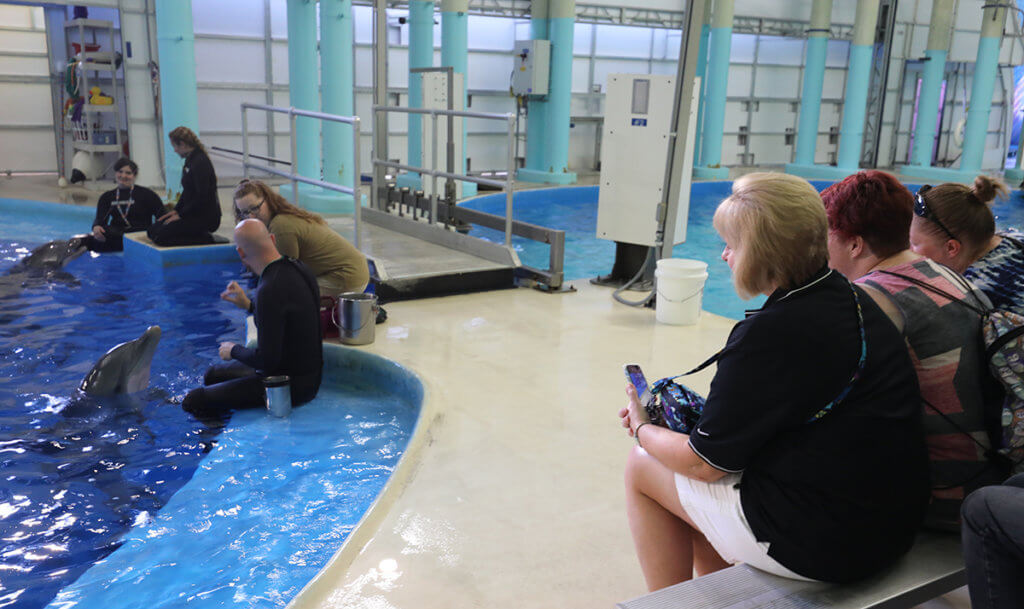 Attendees watch trainers work with the dolphins behind the scenes at the zoo