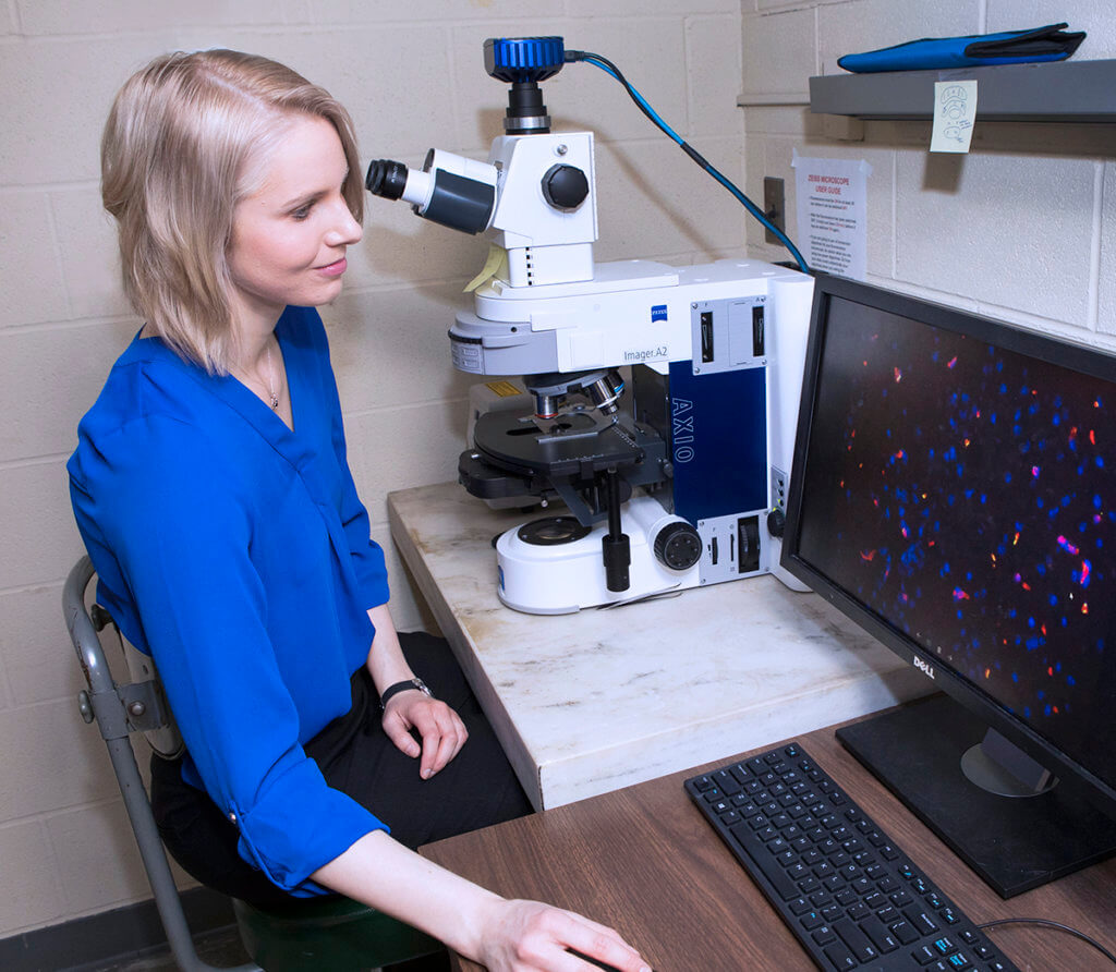 Dr. Dieterly examines slides under a microscope