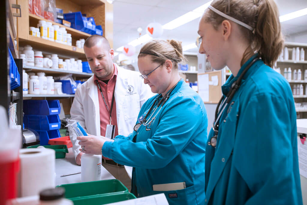 Continuing Education On Opioids Offered In Purdue Veterinary Conference S Small Animal Track Purdue University College Of Veterinary Medicine