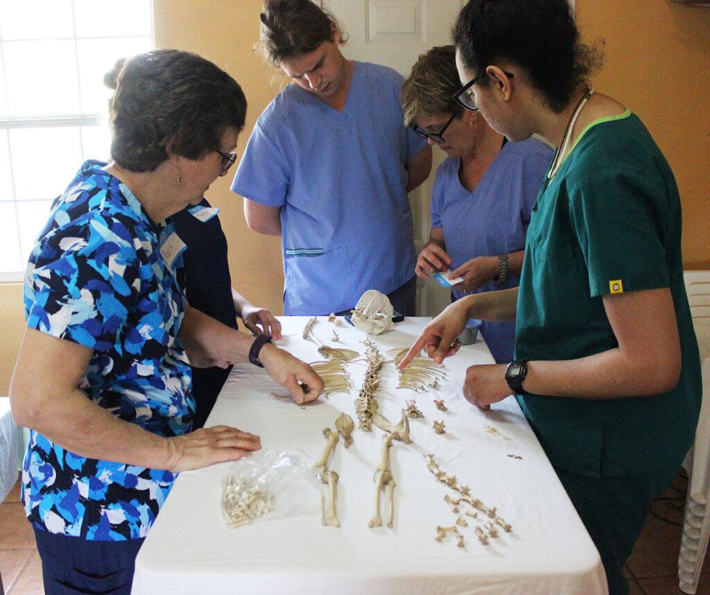 Participants examine skeletal remains around a table
