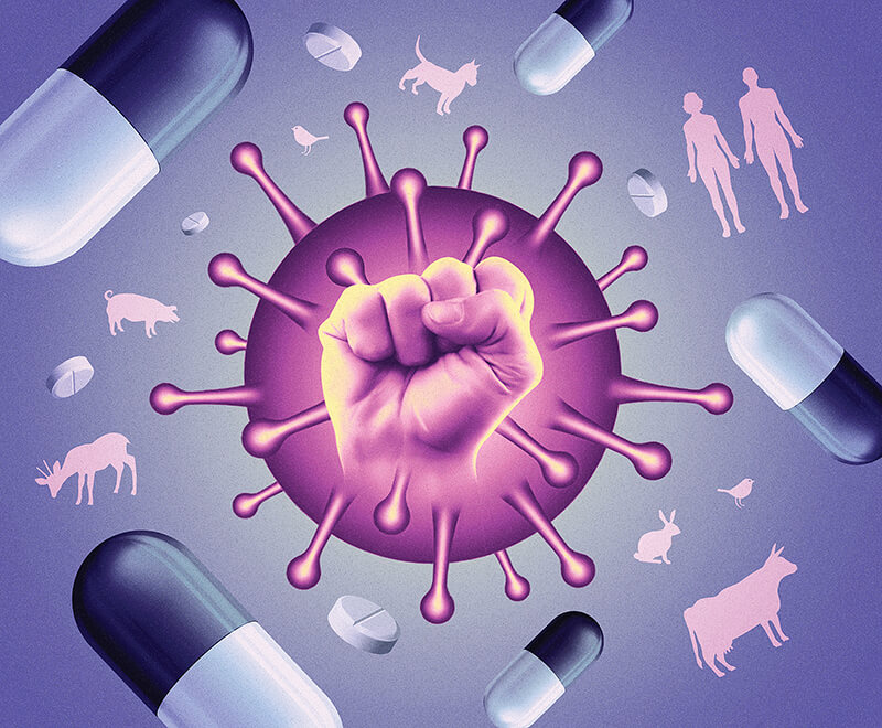 With antimicrobial resistance on the rise, many infections that were once easily treated are becoming fatal. (Illustration/Stuart Briars)