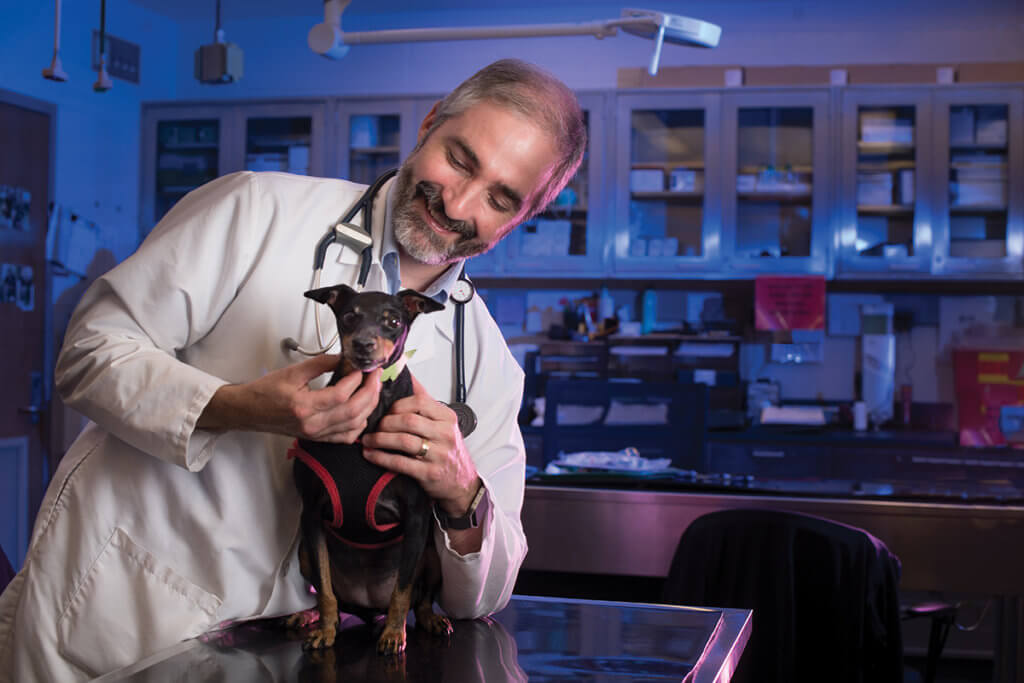 Dr. Childress exams a dog in the Purdue Veterinary Teaching Hospital