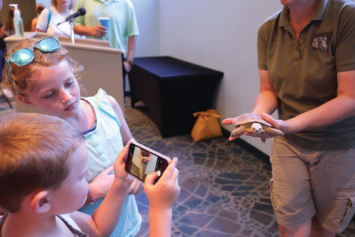 A boy takes a picture on a phone of a small turtle being held by a zoo employee as a young girl watches the phone screen