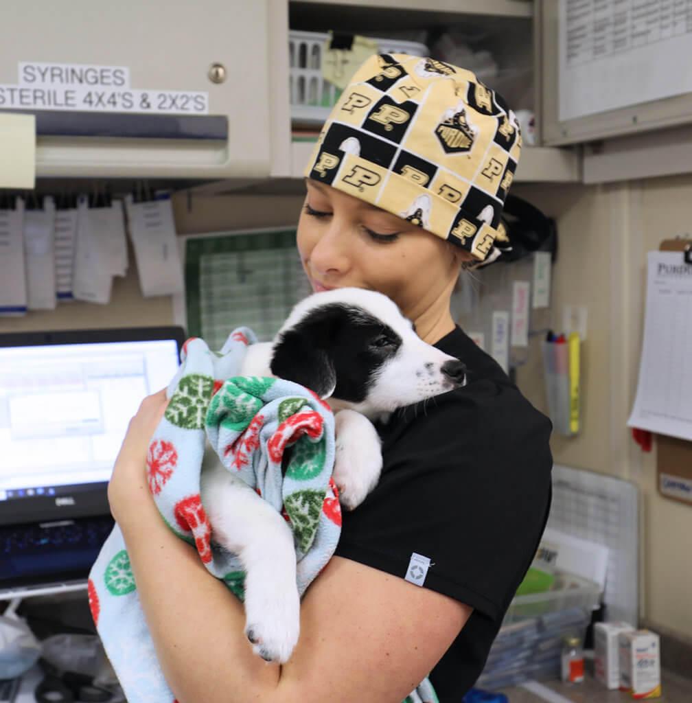 Mackenzie holds a black and white puppy wrapped in a blanket against her chest in the mobile surgery unit