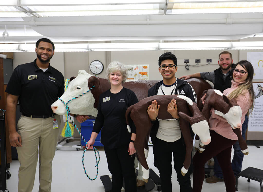 Two students hold model calves in front of the cow model surrounded by Daniella Buchanan and two other students in the Clinical Skills Lab