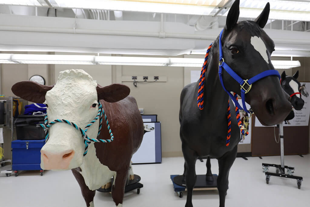 The cow and horse models face the camera standing side by side