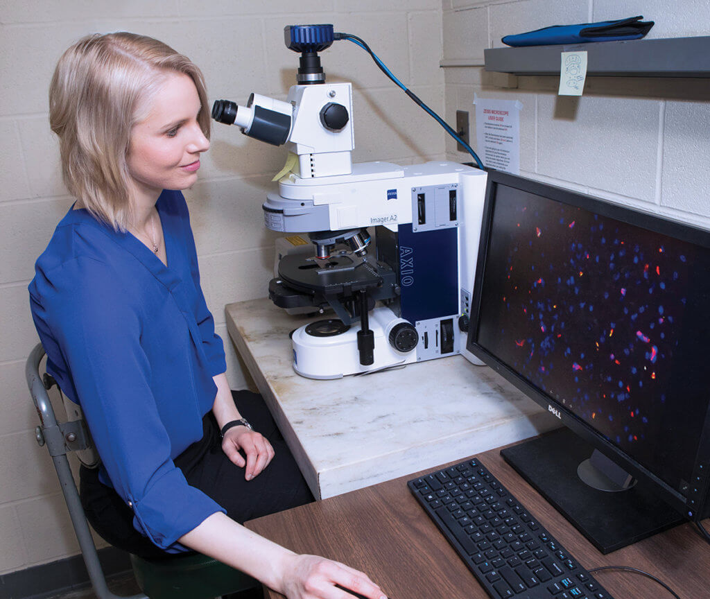 Dr. Dieterly looks at a brain scan on her computer monitor next to a microscope