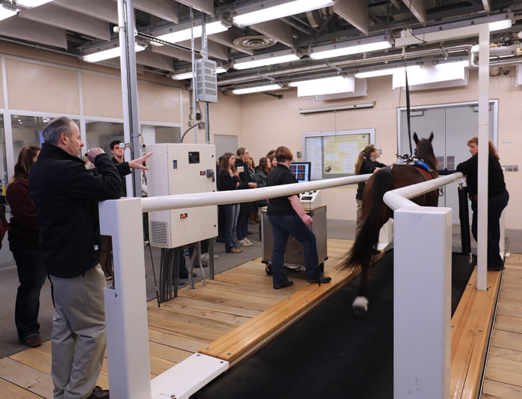 A crowd watches an equine treadmill demonstration led by Dr. Couetil with assistance from veterinary nurses.