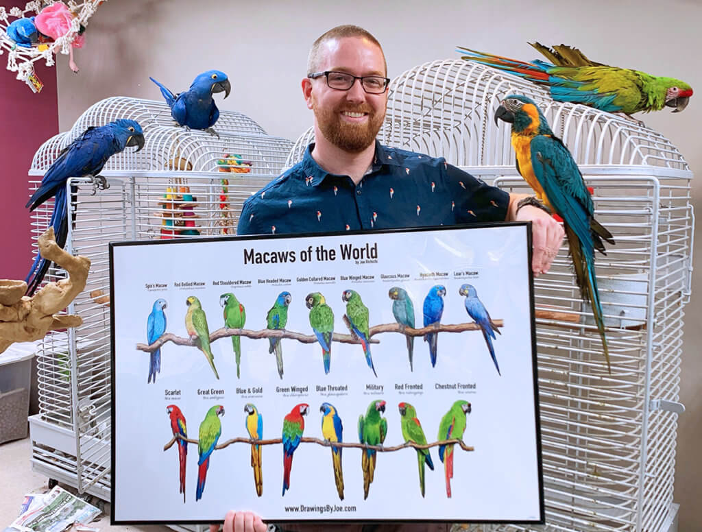 Joe holds a framed print of different macaws perched on branches surrounded by three different macaw birds