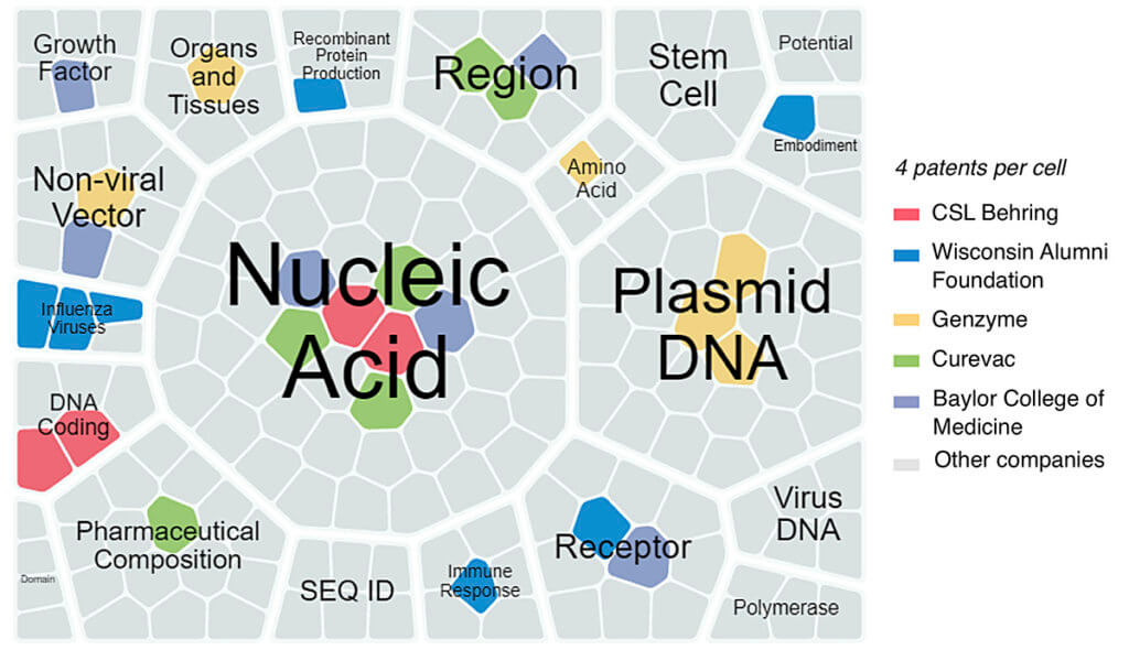 diagram of cells