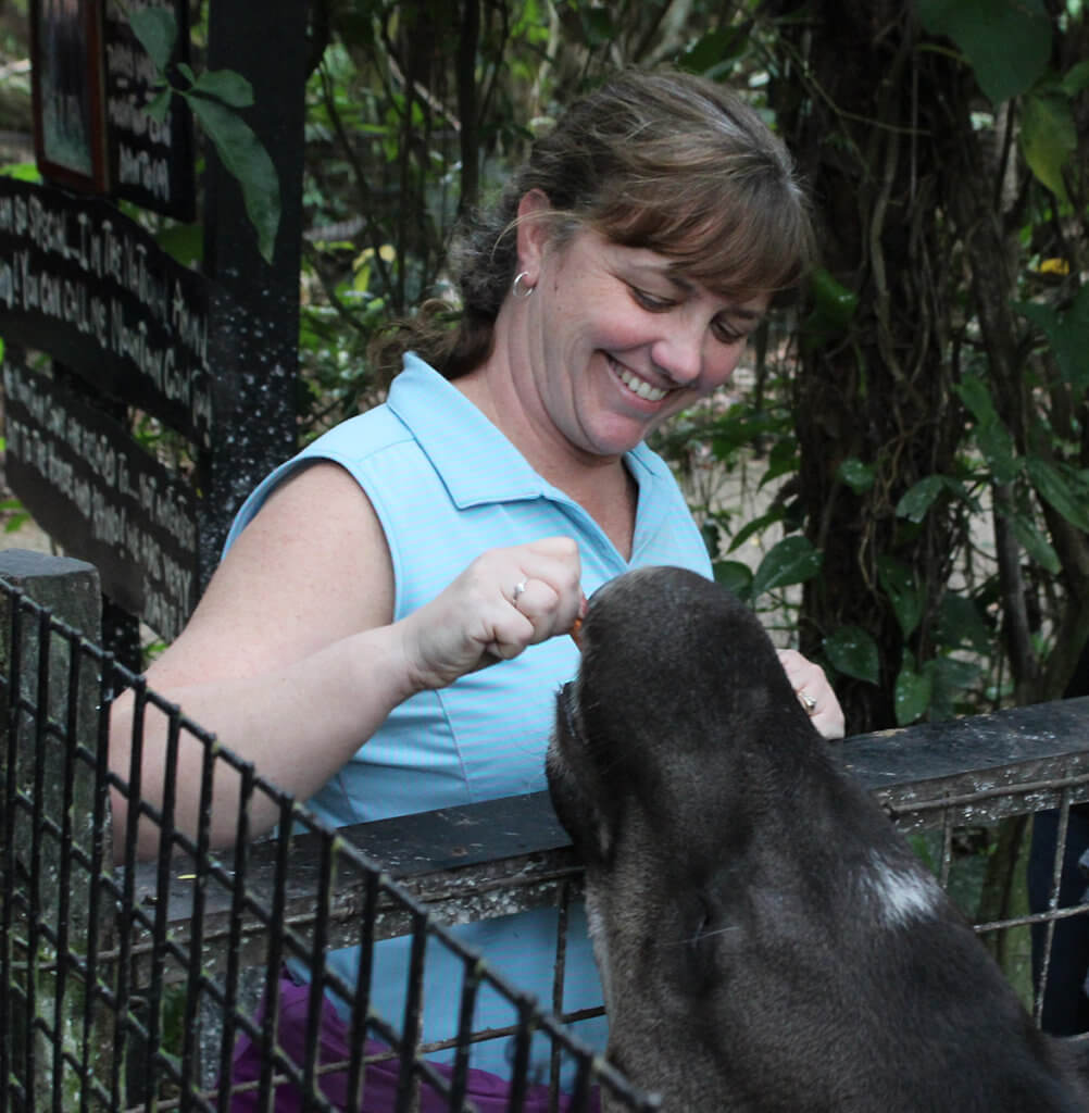 A woman smiles reaching out to a Tapir