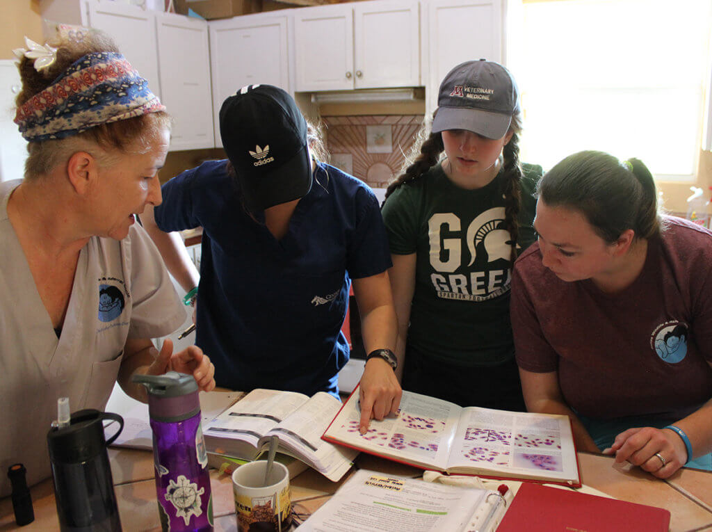 Participants review a text book while Dr. Paquet-Durand watches