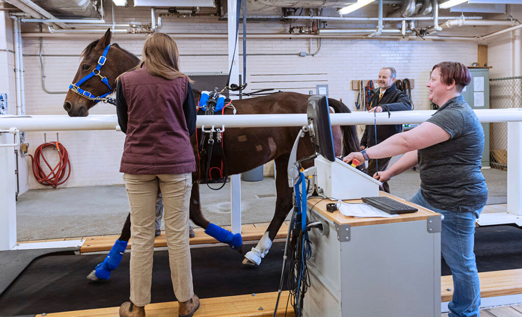 A horse begins to run on a large indoor treadmill as the team stands alongside