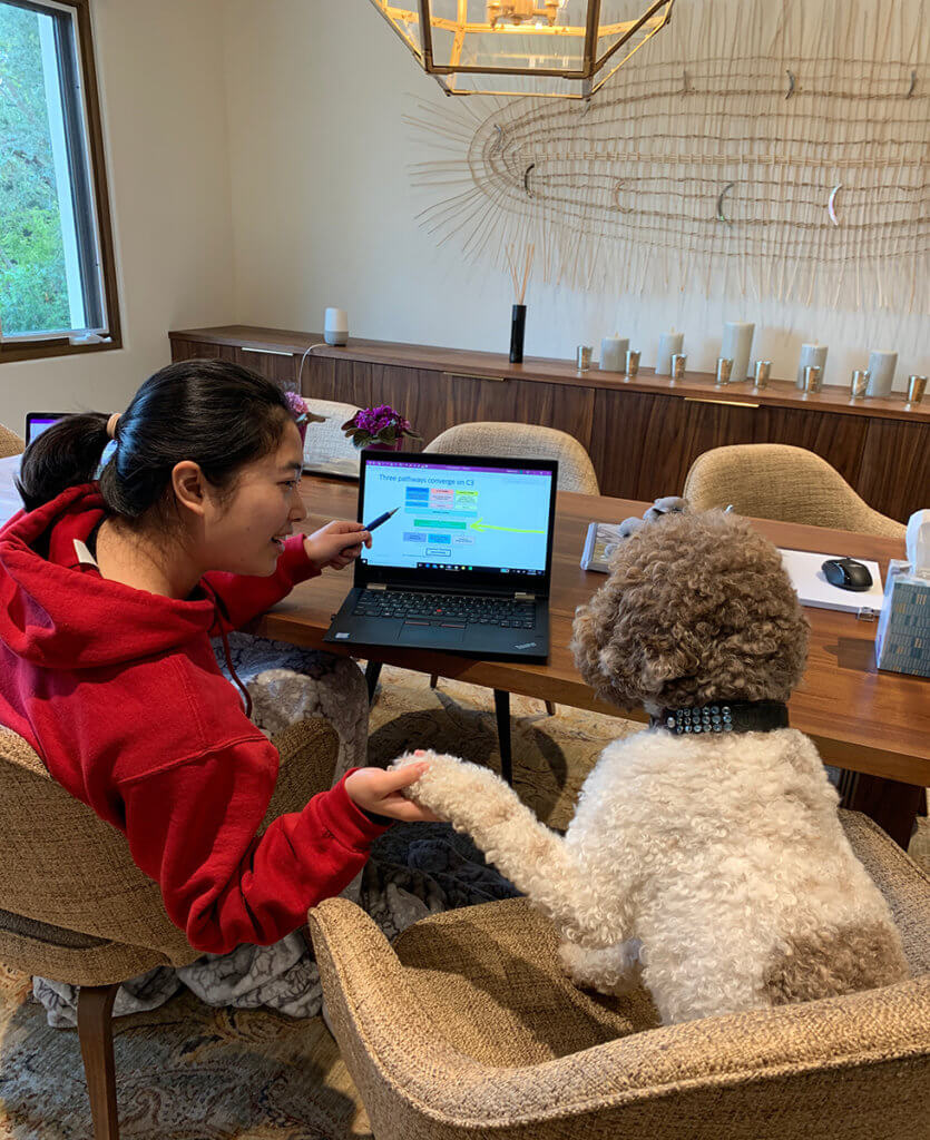 Leeza points to her laptop screen as she holds her dog's paw