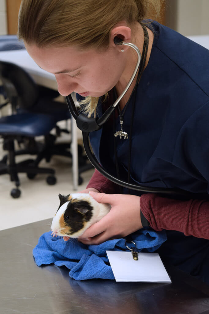 Veterinary Exotic Animal Club Wins Purdue Outstanding Program Award |  Purdue University College of Veterinary Medicine