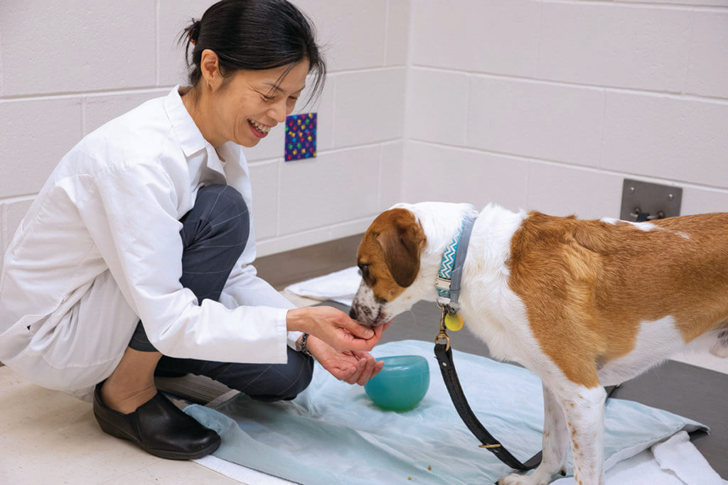 Dr. Ogata hand feeds a dog in the hospital