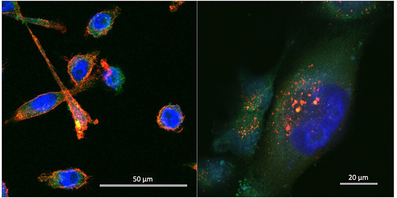 biomarkers pictured