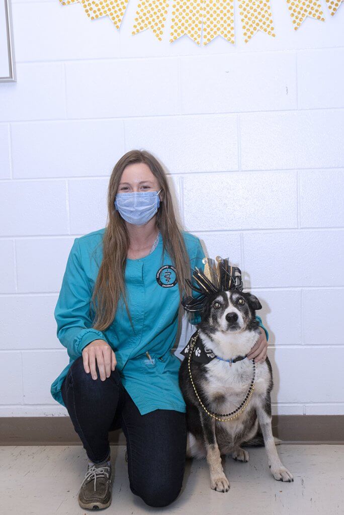 Justine kneels by Sheeba in the hospital who is dressed up with a black and gold bow crown, bandana, and beaded necklaces
