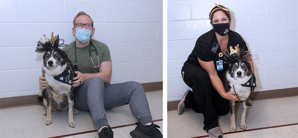 Sheeba is pictured separately with Dr. Woolcock and Julie seated in the hospital's hallway
