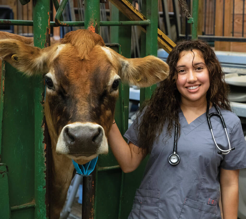 A Vet Up participant pauses next to a cow during a Vet Up! session