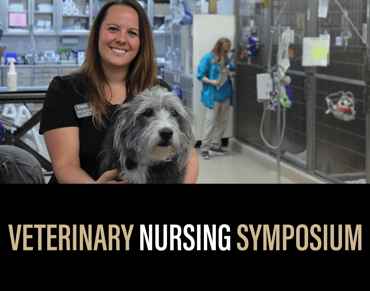 Still Time to Register for the 2021 Veterinary Nursing Symposium