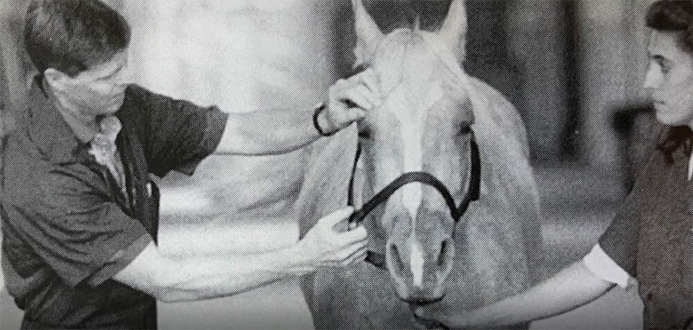 Dr. Stephen B. Adams examining a horse.