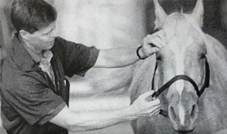 Vintage photo of Dr. Stephen Adams examining a horse.