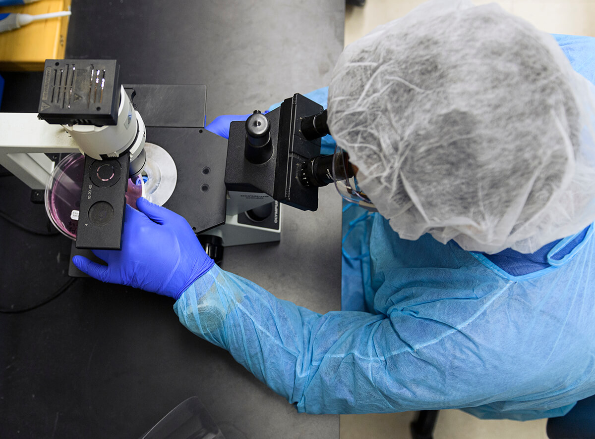 Analysis is Focus of Studying Day for Purdue College Faculty of Veterinary Medication