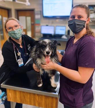 Oncology team members hold Gracie on an exam table as they smile at the camera