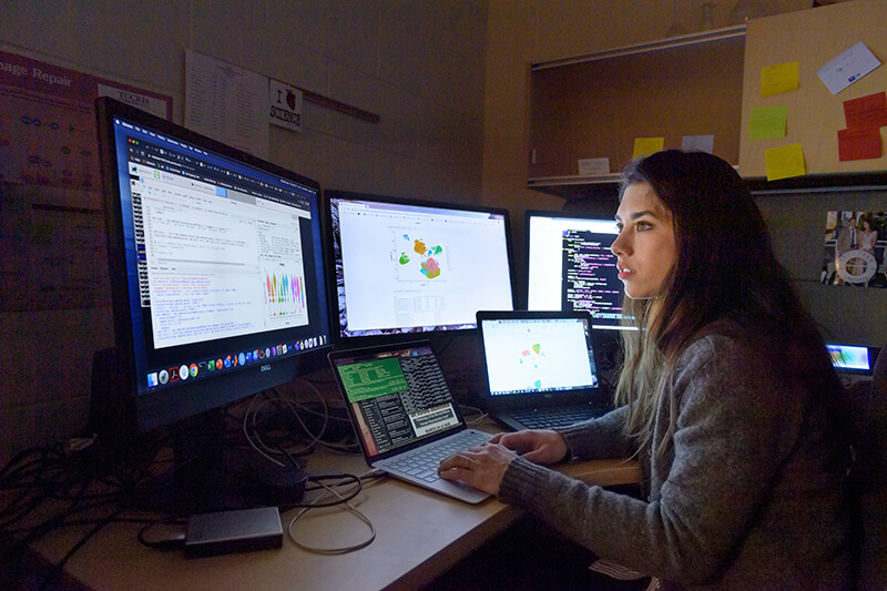 Dr. Lanman works on multiple computer screens in her office