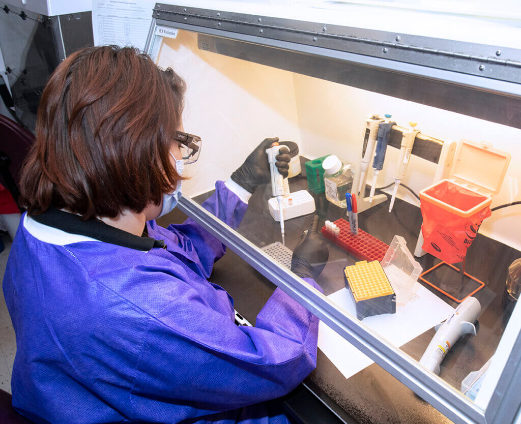 Becca tests a sample under the hood in the laboratory