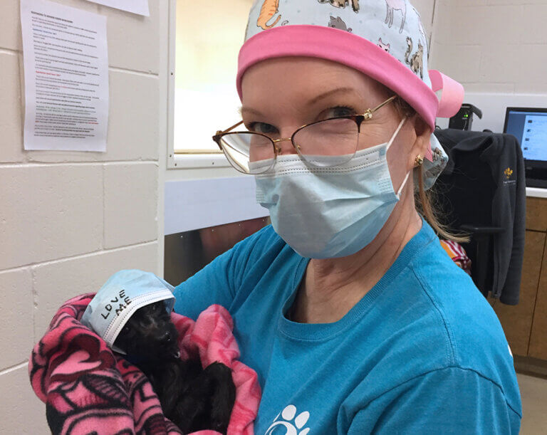 Distance Learning Program Ensures It’s Never Too Late to Open the Door to Veterinary Nursing