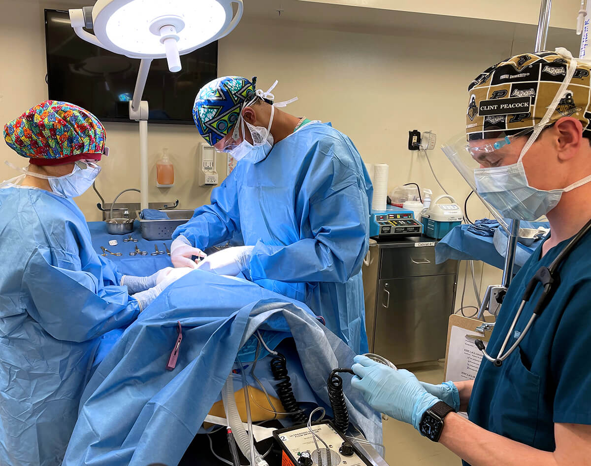 Skillful Surgery… and Other Handson Lessons Purdue University
