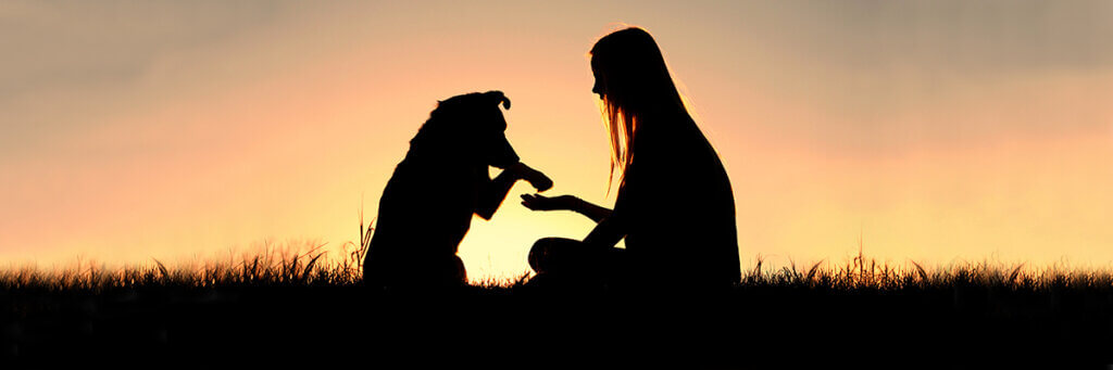 A silhouette of a dog putting its paw on a woman's outstretched hand as they sit in the grass against a sunrise sky