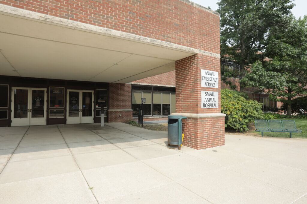 Small Animal Hospital Entrance