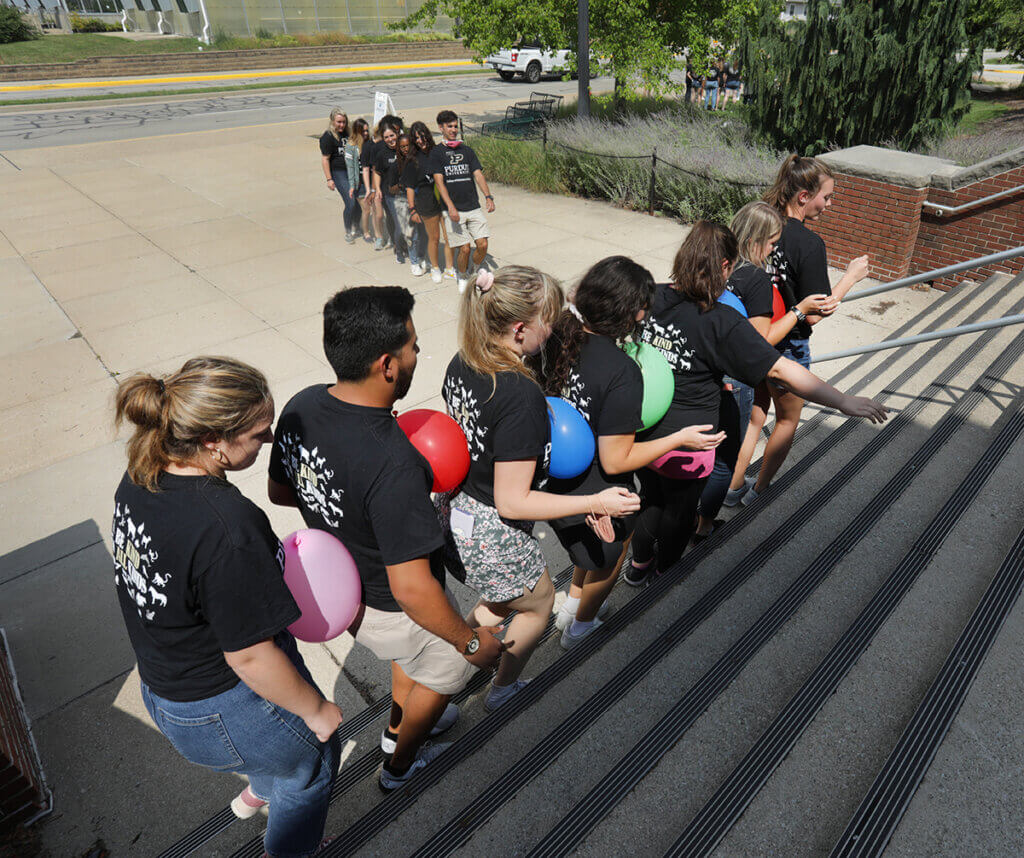 New Purdue Veterinary Medicine Students Enliven Lynn Hall | Purdue ...