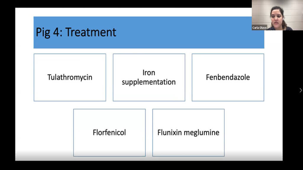 A screenshot of Dr. Olave presentation