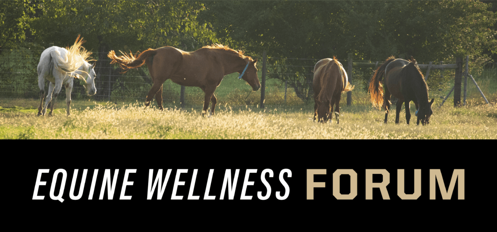Equine Wellness Forum banner