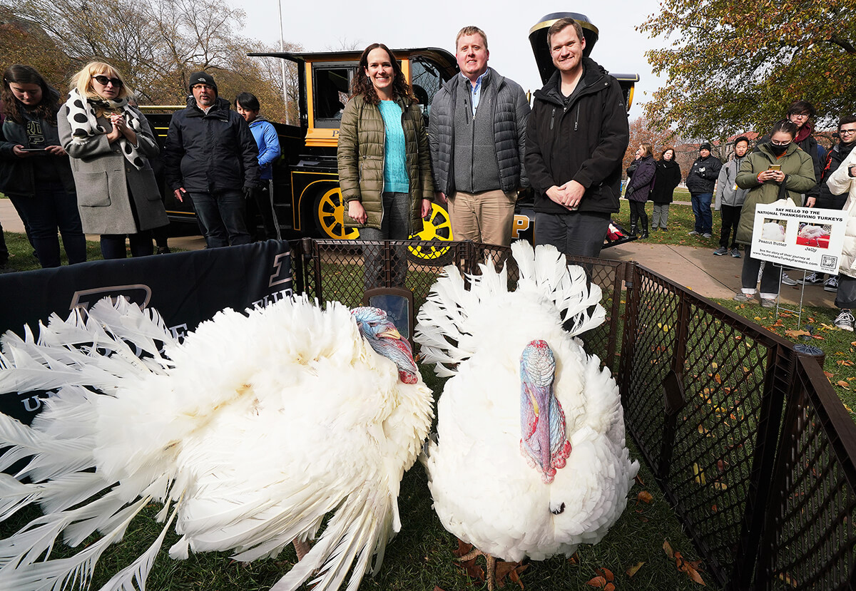 ADDL Provides Pivotal Testing for Presidentially Pardoned Turkeys at Holiday Time | Purdue University College of Veterinary Medicine - Vimarsana News