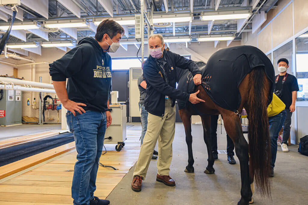 Dr. Couetil holds up the slicker worn by Leila the horse, pointing to her abdomen, as Dr. Lee looks on