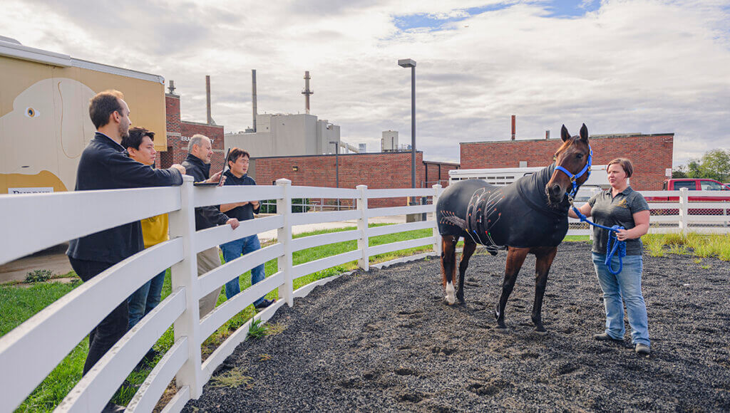 Laura stands with in the corral with Leila wearing the specialized slicker, as the research team stands outside the fence