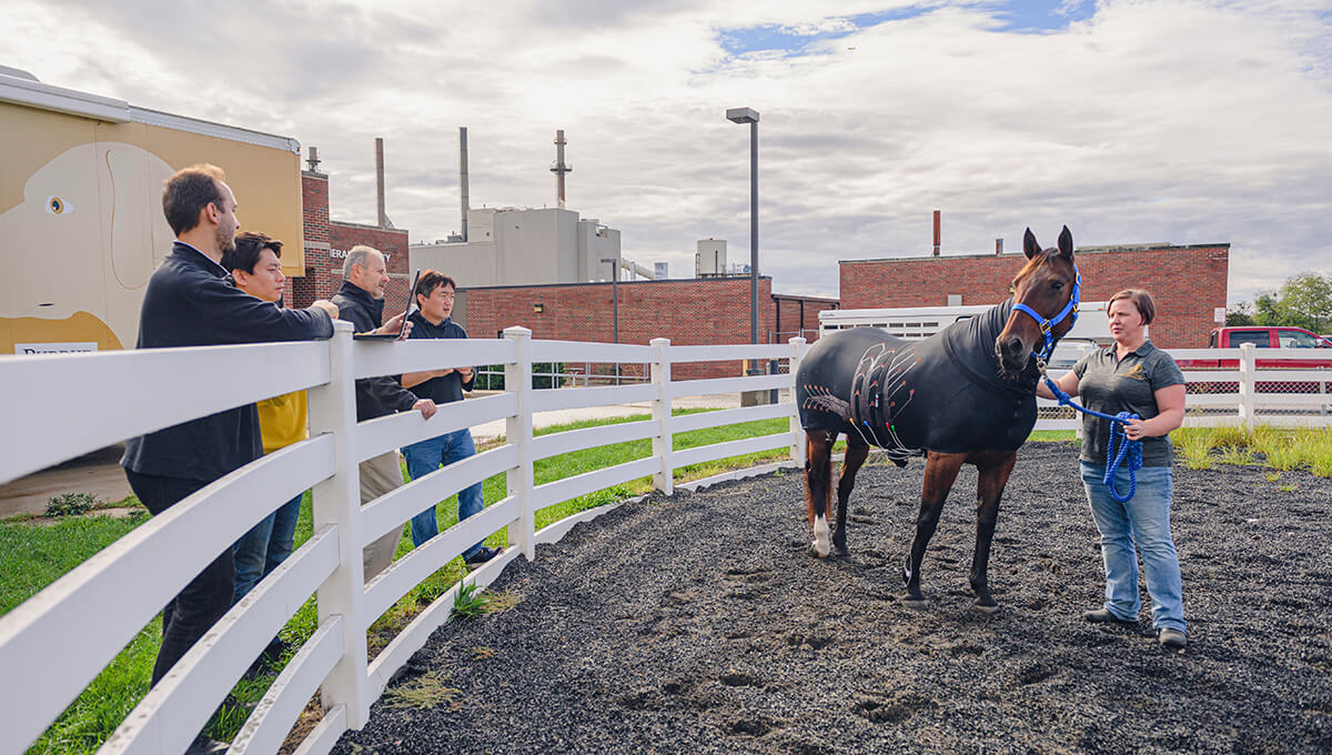 A Horse Slicker is Just a Horse Slicker, of Course, of Course, Unless it Can Monitor Chronic Disease | Purdue University College of Veterinary Medicine - Vimarsana News