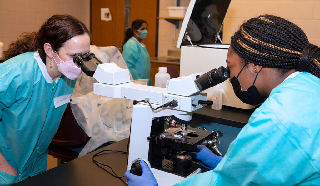 Dr. Hendrix and Kalia look through opposite sides of a double microscope in a lab space at Purdue