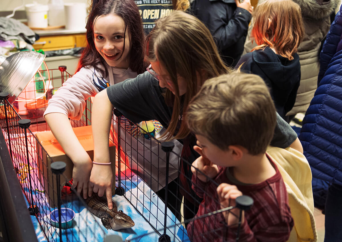 A girl smiles up at the camera as she pets an exotic animal inside its enclosure as another girl joins in and a young boy looks on