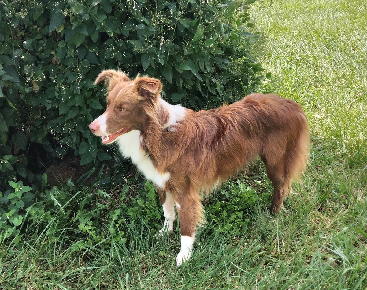 Ruby stands smiling outside in the grass