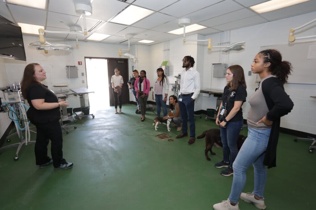 Instructional Technologist Jeannine Henry greets members of DVM Class of 2026 and introduces them to the Large Animal Junior Surgery facility. The class split into groups to visit key areas of the veterinary college complex during the orientation week.