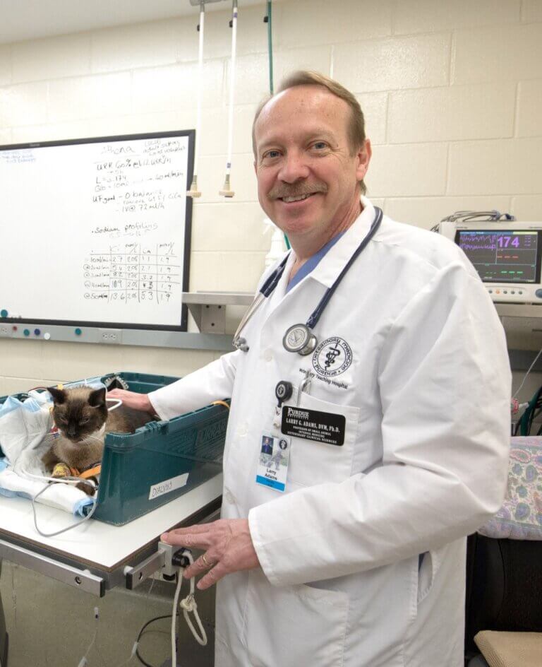 Top PVM Alumni and Faculty Awards to be Presented at Purdue Veterinary